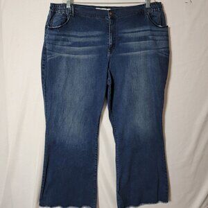 Cato EST 1946 Womens  Jeans 22WP High Rise Stretch Raw Hem Denim Blue